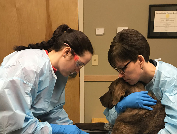 pet oncology pet oncology