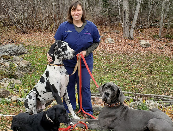 Dog Veterinarian